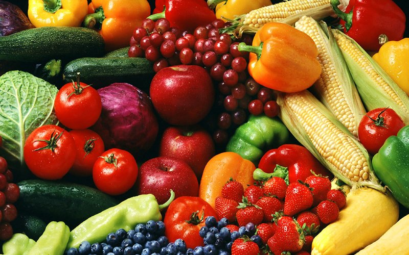 cibo bio